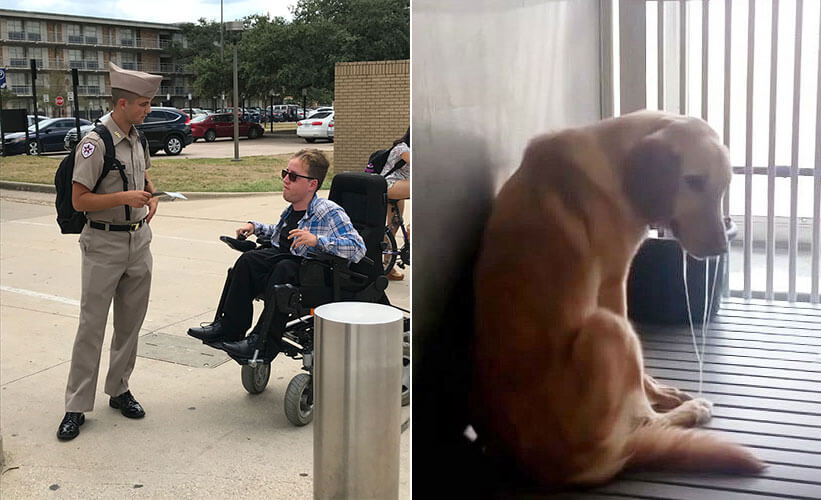 Animal Activist With MD Publicly Condemns TAMU's Dog Lab | PETA