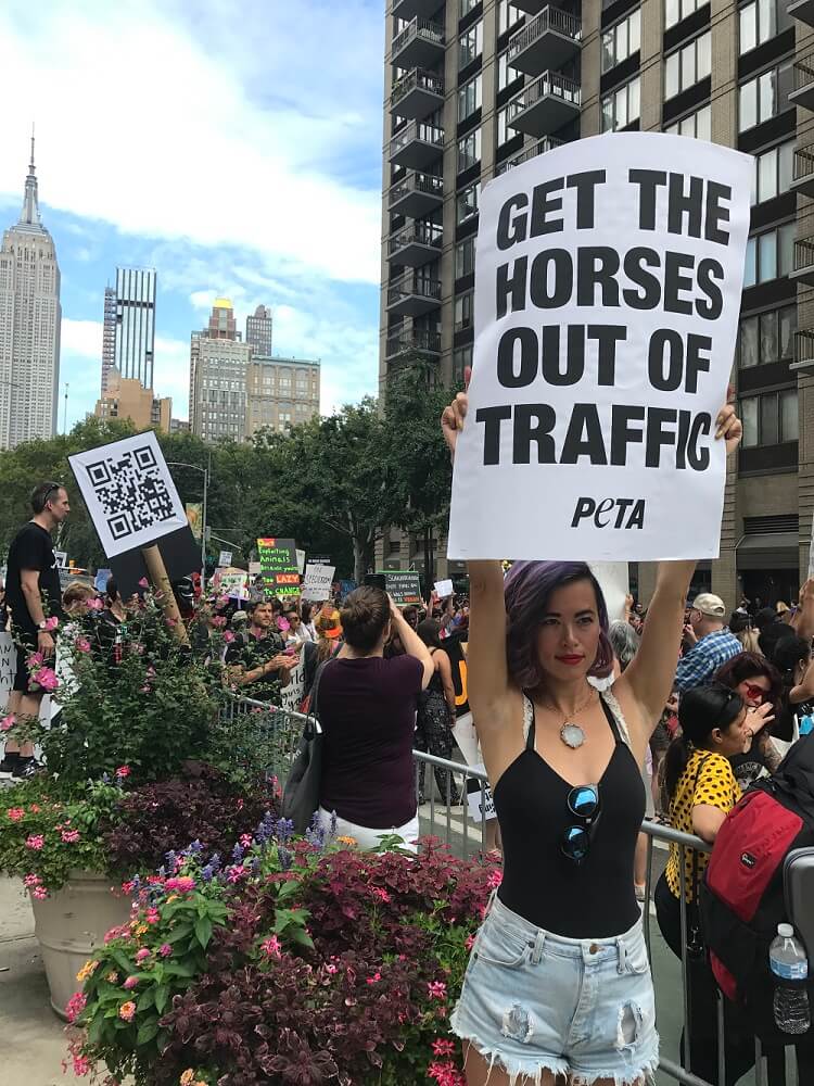 Activist Holding Sign
