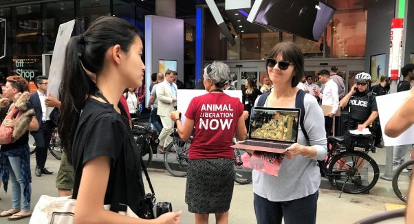 Woman holding laptop playing PETA Canada Goose footage