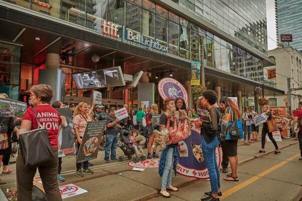 PETA protest of Canada Goose at Toronyo International Film Festival