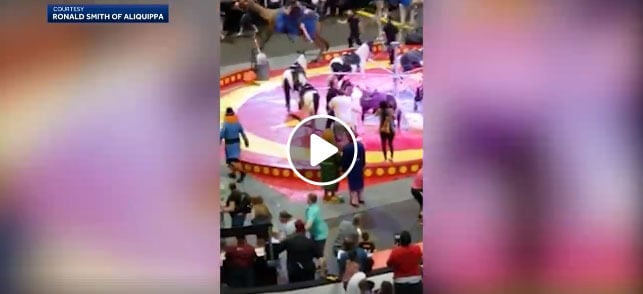 Panicked Camel Injures 6 Children: More Proof Students Shouldn’t Go to Circuses