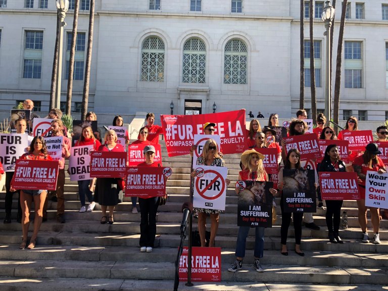 Suspected Illegal Fur Sales in Beverly Hills PETA Files Formal