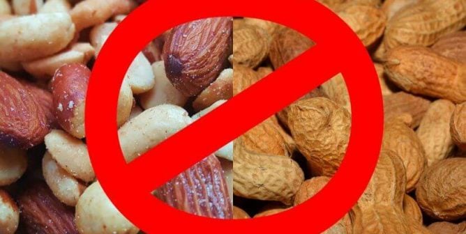 Your Guide to Being Vegan With a Peanut or Tree Nut Allergy