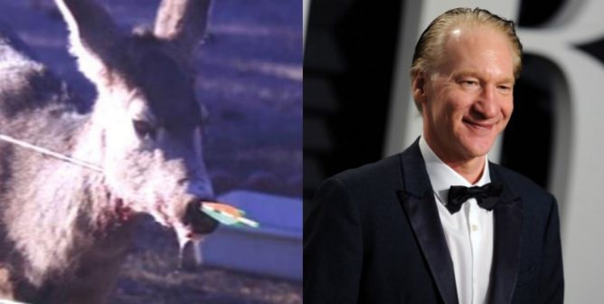 collage of Bill Maher and a deer