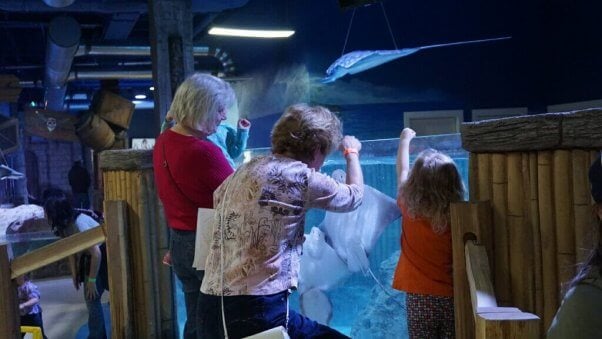 Family looking at stingrays imprisoned in tank