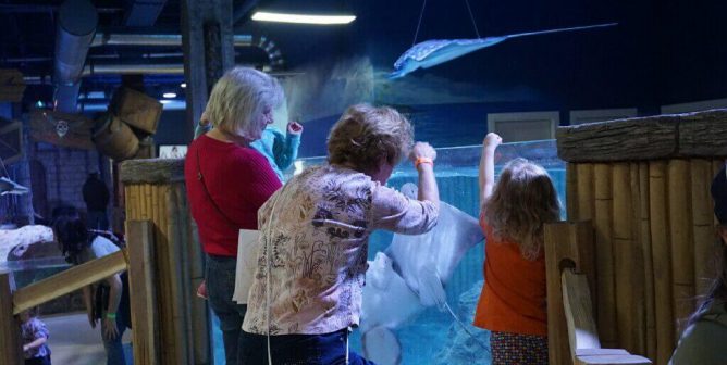 PETA Files FTC Complaint Over Injuries to Visitors, Staff at SeaQuest Aquariums