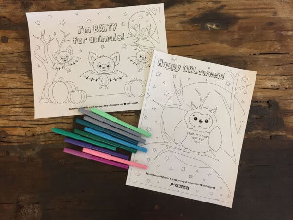 peta kids halloween coloring sheet