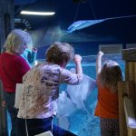 Speak Up for Animals Neglected at SeaQuest and Other Atrocious
Aquariums