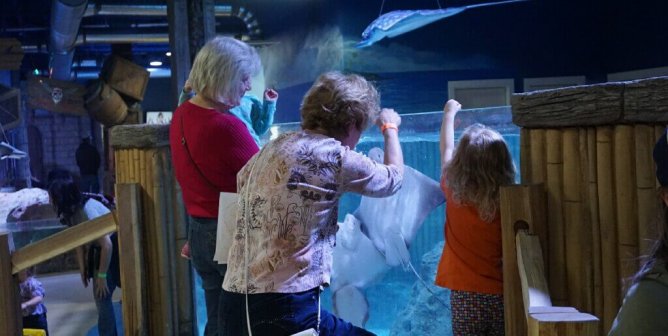 Tell SeaQuest Promoters to Stop Supporting Animal Suffering