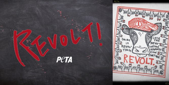 REVOLT! these peta videos show why people are ditching dairy