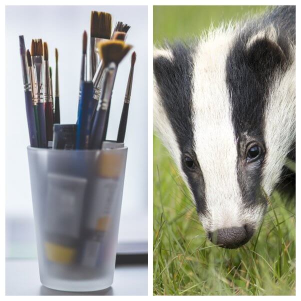 Vegan art materials: taking the animal out of art – Vegan Easy