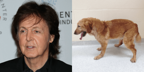 Paul McCartney and TAMU Dog