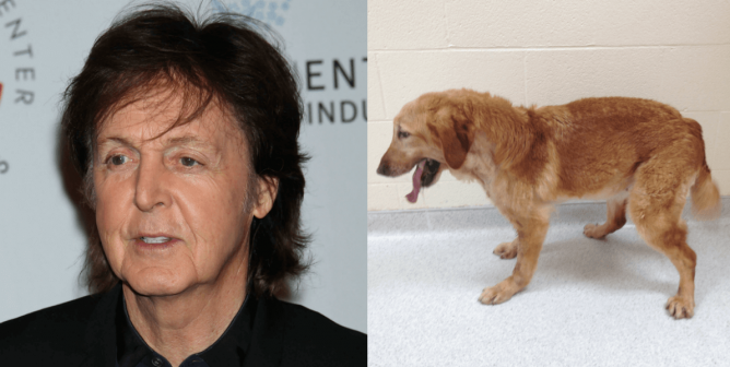 Paul McCartney and TAMU Dog