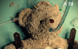 Watch: A Teddy Bear Tackles the Trauma of Animal Experimentation