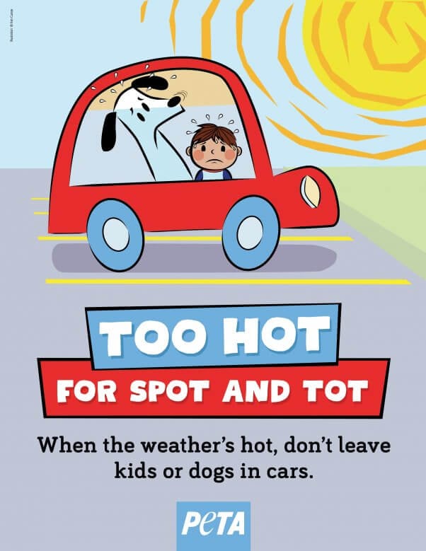 Too Hot for Spot and Tot Hot Car Ad