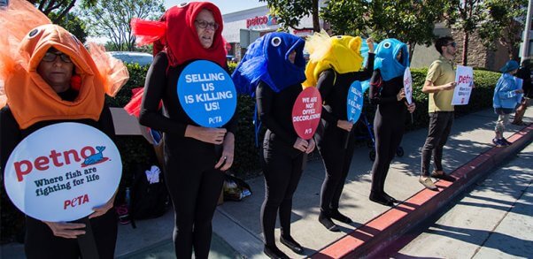 woman in betta fish costumes at Petco