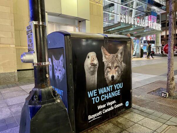 anti-Canada Goose ad in Boston outside the Prudential Center