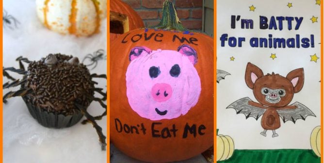 13 Kind Classroom Ideas for Halloween That Compassionate Teachers Will Love