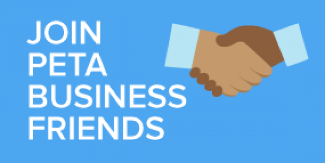 Information for Businesses