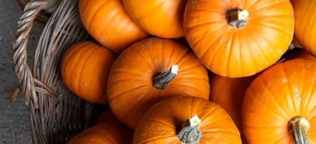 a pile of small orange pumpkins in a basket for halloween