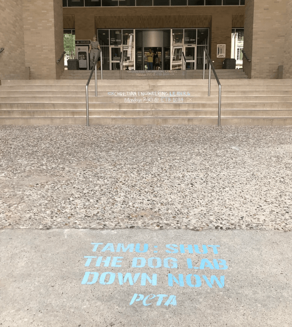 matt bruce texas A&M sidewalk chalk message