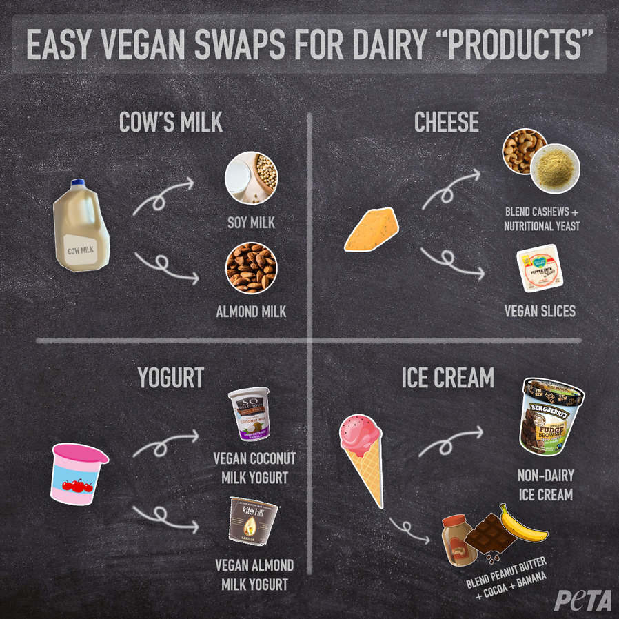 looking to ditch dairy products? try these vegan options instead