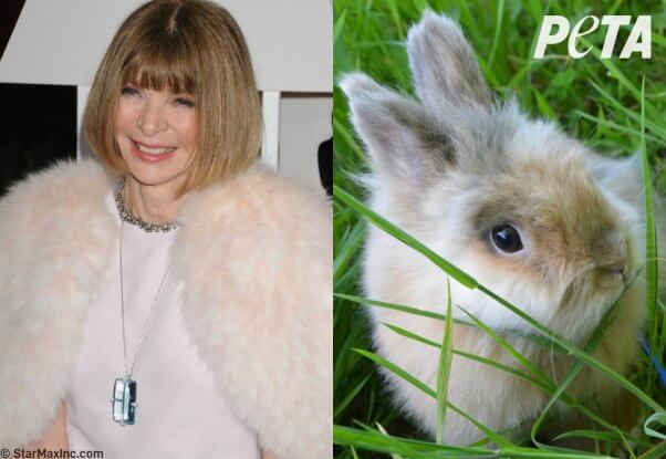 who wore it better? celebs vs. animals