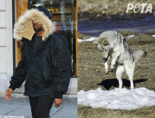 who wore it better? celebs or animals in fur