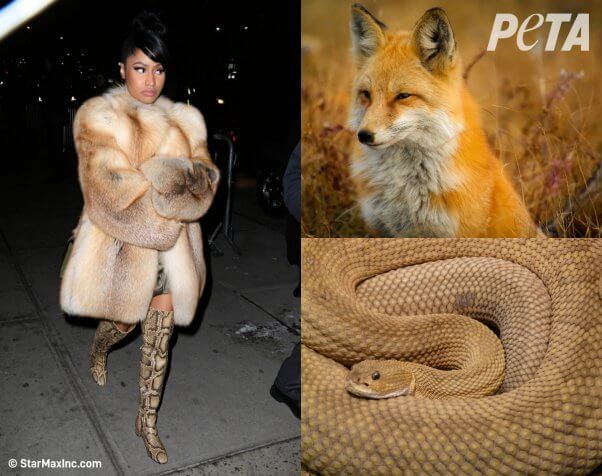 who wore it better? celebs vs. animals