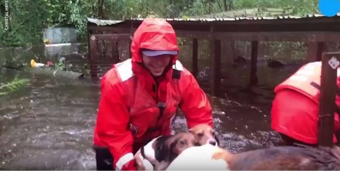 U.S. Coast Guard Is PETA’s First-Ever ‘Agency of the Year’