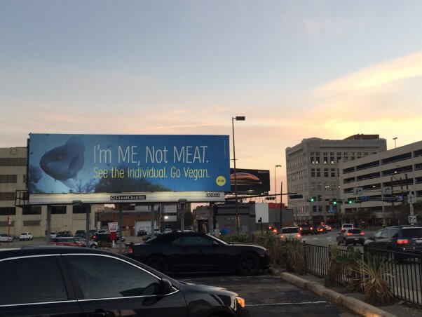 PETA billboard in Dallas