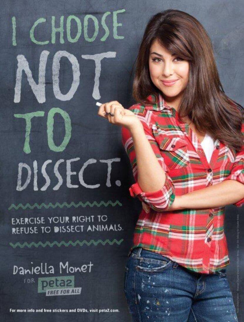hispanic heritage month celebs for peta daniella monet