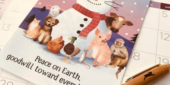 2019 Rescued Calendar and ‘Hoppy Holidays’ Card Set