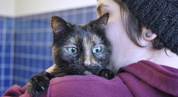 Rescued senior cat Pumpkin being held by PETA staffer