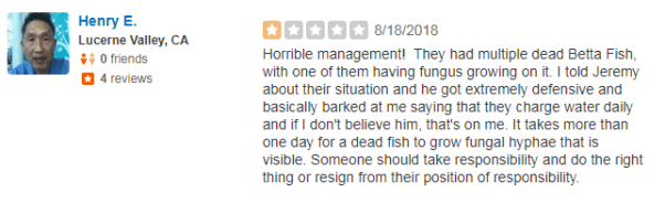 Bad Petco Review about dead betta fish