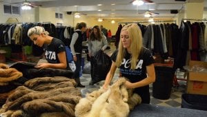 PETA Fur Coat Donation Program. PETA employees boxing up coats