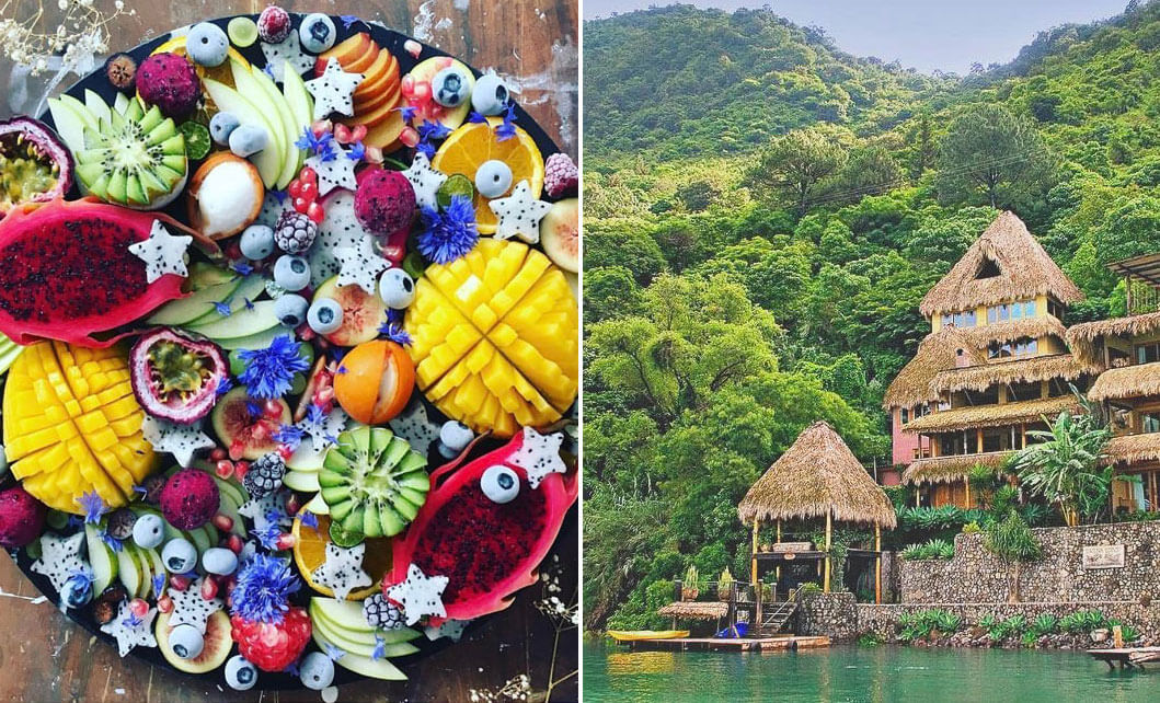 The Best Vegan Travel Companies and Destinations PETA