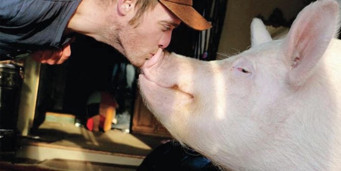TeachKind Rescue Stories: Esther the Wonder Pig