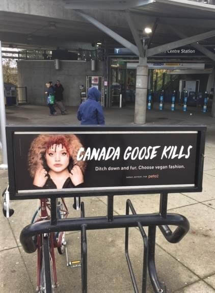 anti-canada goose ad in vancouver