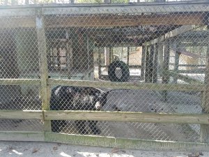Monster Coupon Book: Animals Suffer at Waccatee Zoo