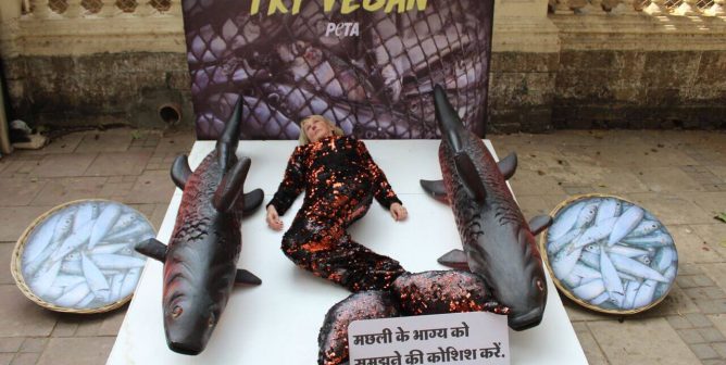 Ingrid Newkirk in a fish demonstration