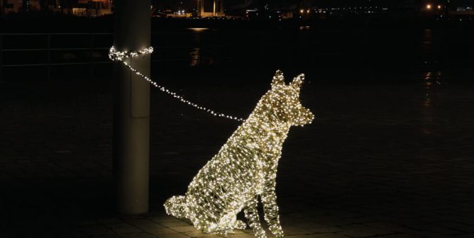 peta ad animals are not gifts