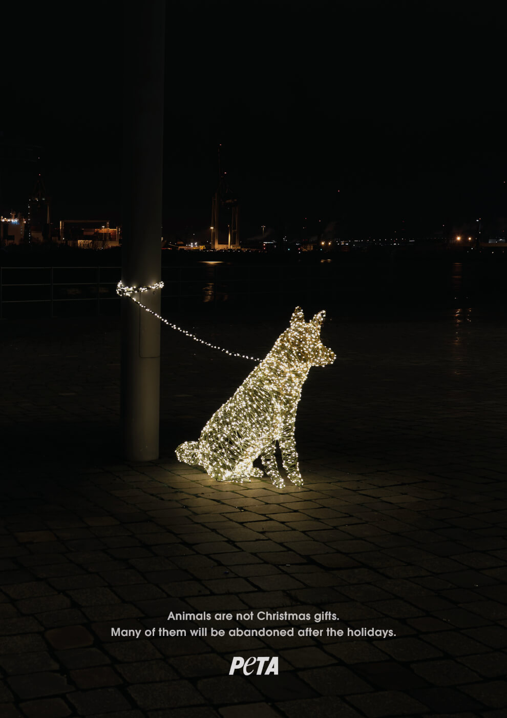 Shelters Full of 'Present' Animals After the Holidays | PETA Shelters Full of 'Present' Animals After the Holidays | PETA