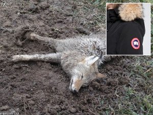 Tell Need Supply: End Fur Sales