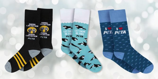 peta socks on a light background