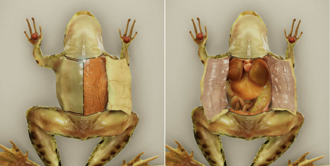 Froggipedia, a Virtual-Dissection App, Is Apple’s Top iPad App of 2018