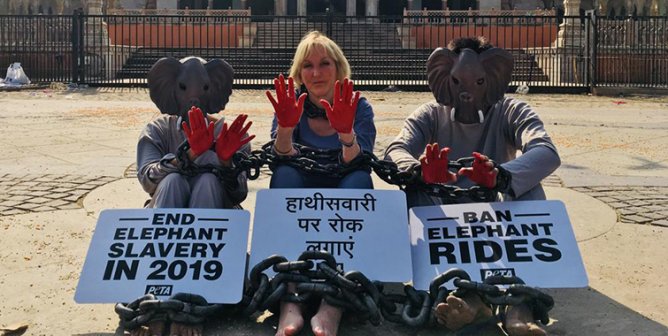 ingrid newkirk protests elephant rides