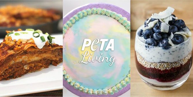 PETA’s Most Popular Vegan Recipes of 2018