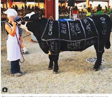 This Is What’s Wrong With 4-H
