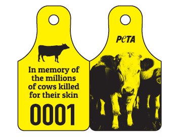 Animal, Ear Tags, Cow, Leather, Mission, Students